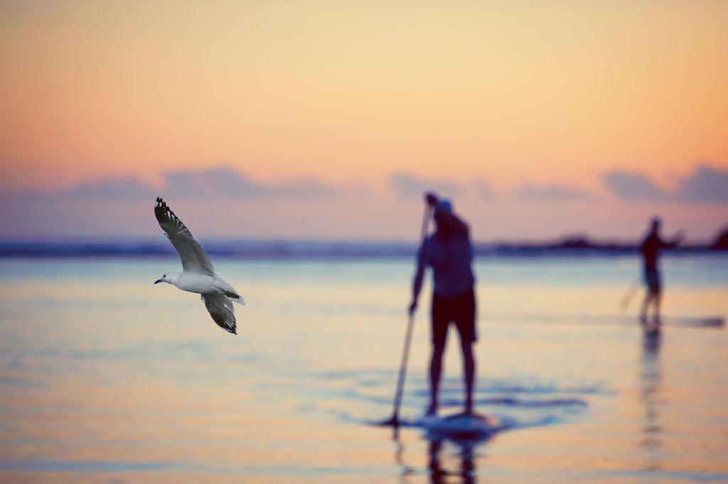 Kiama Shores Luaran gambar